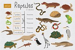 Reptiles Product Image 1