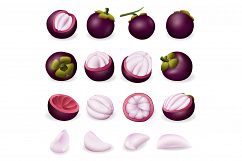 Mangosteen icon, cartoon style Product Image 1