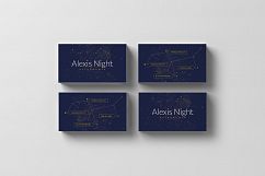 Astronomer Business Card - BC069 Product Image 2