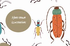 Beetles png clipart, Baby nursery, Insect png elements Product Image 2