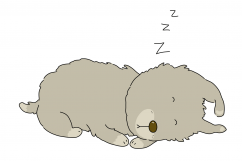 Little Scruffy Dog | 6 cute dog clip art illustrations Product Image 3