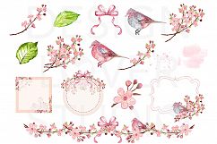 Watercolor Cherry Blossom design Product Image 2