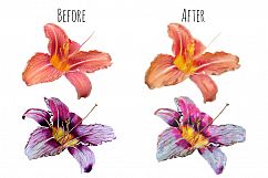 Watercolor brushes set. Product Image 7