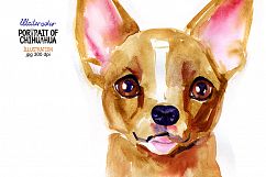 Watercolor portrait of Chihuahua. Illustration in jpg format (300 dpi). Product Image 1