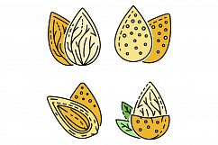 Almond icon set line color vector Product Image 1