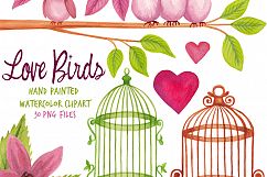 Love Birds and Birdcages Product Image 2