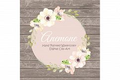 Watercolor Anemone Rose Blush clipart Product Image 2