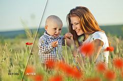17 Poppie Flowers Photo Overlays Product Image 5