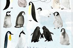 Penguins. Watercolor clipart Product Image 5