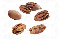 Nuts clip art pack, Watercolor nuts chart, food print Product Image 19