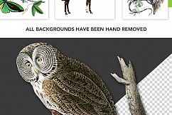 Entire Vintage Collection -Over 1000 Illustrations Product Image 2
