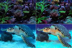 Barrier Reef Lr Presets Product Image 2