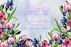 Tender Irises PNG watercolor set Product Image 1
