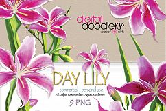 Day Lily Product Image 1