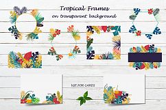 Tropical collection Product Image 7