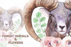 Forest Animals and Succulents Product Image 1