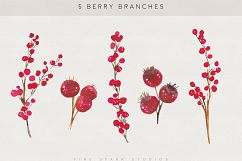 Winter Berry Watercolor Illustrations Product Image 3
