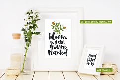 Spring! Letterings+graphics+patterns Product Image 5