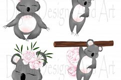 Koala clipart Product Image 3