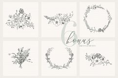 Botanical Illustrations Vol.1 Product Image 4