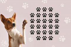 Paws Product Image 3