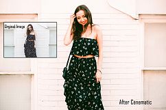 Cinefilm Style v.1 Lightroom Presets Product Image 7