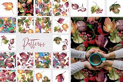 Autumn viburnum leaves PNG watercolor set Product Image 2