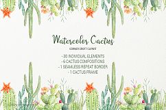 Watercolor clipart cactus for instant download  Product Image 6