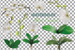 Watercolor white orchids clip art, Orchid leaves and flowers Product Image 3