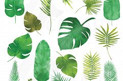 Palm leaves watercolor clip art pack, tropical leafs collection. Png, jpg, svg, vector illustrator &amp; corel files included, instant download Product Image 6