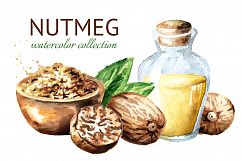 Nutmeg. Watercolor collection Product Image 1