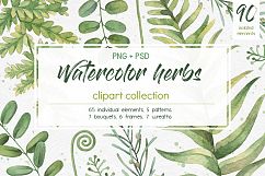 Watercolor herbs. Clipart collection Product Image 1