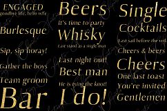 Bachelor Party Word Art Clipart Product Image 2