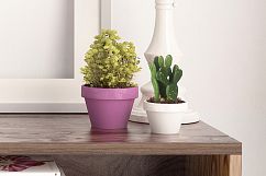 Styled Stock Photography, Frame Mockup, white Frame mockup, Styled Photography Mockup, stock photo Product Image 3