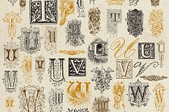 Vintage Vector Letters &amp; Monograms Product Image 3