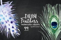 Feathers Watercolor Illustrations Product Image 4