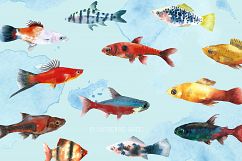 Aquarium Fishes Watercolor Clipart Product Image 5