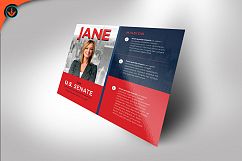 Political Flyer Photoshop, Word, Publisher Template 3 Product Image 3