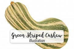 Green Striped Cushaw Squash Product Image 1