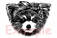Bearcat whit Orange Bandana SVG Bearcats 1016S Product Image 3