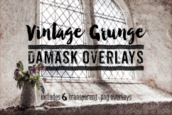 Damask Textures - Vintage Grunge Damask Overlay Textures Product Image 1