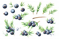 Gin Tonic. Watercolor collection Product Image 3