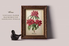 Antique Fruit &amp; Flowers Graphics Product Image 10