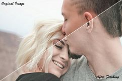 Fetching Lightroom Presets Product Image 4