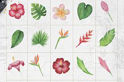 Tropical Watercolor Set Product Image 11