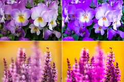 Lilac Lr Presets Product Image 4