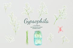 Hand painted watercolor clipart white baby&#039;s breath, gypsophila Product Image 5