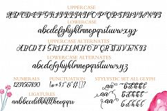 Orlintia Script  Product Image 6