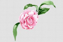 Wonderful pink camellia PNG watercolor set Product Image 2