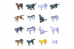 Wolf icons set, isometric style Product Image 1